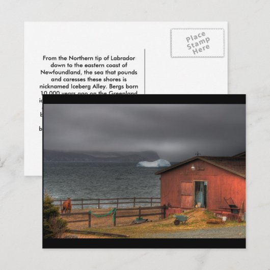 Der Cowboy-Weg Postkarte (Vorne/Hinten)