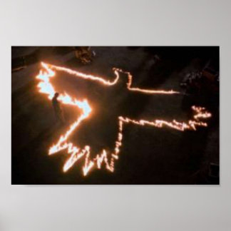 Der CROW Fire Bird Poster