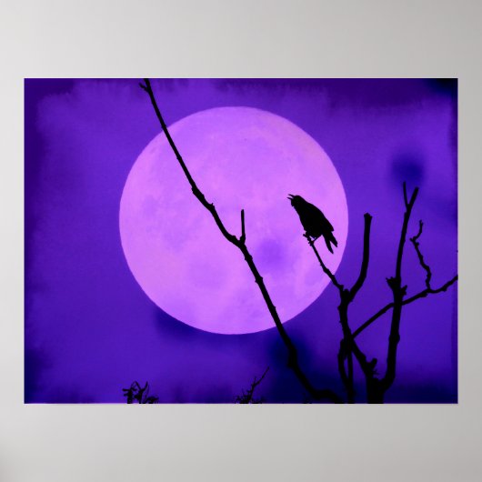 Der Crow und der Amethyst-Mond Poster (Vorne)