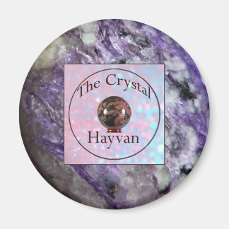 Der Crystal Hayvan Magnet mit Charoitbild
