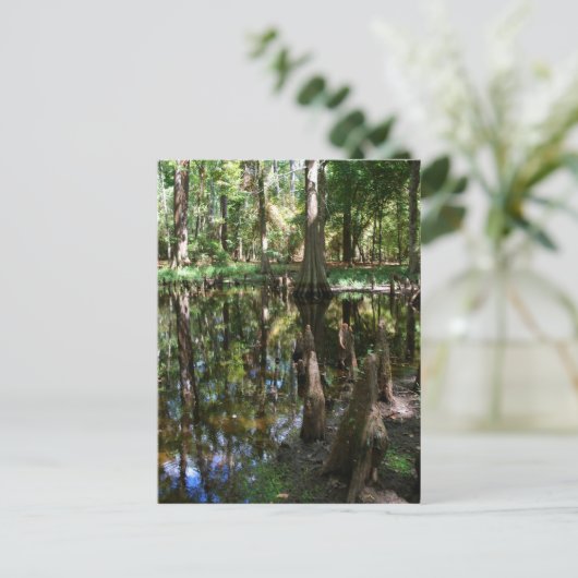 Der Cypress-Bog Postkarte (Stehend Vorderseite)