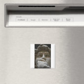 Der David Magnet (In Situ (Geschirrspüler))