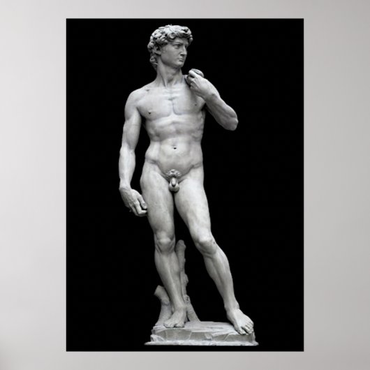 DER DAVID POSTER (Vorne)