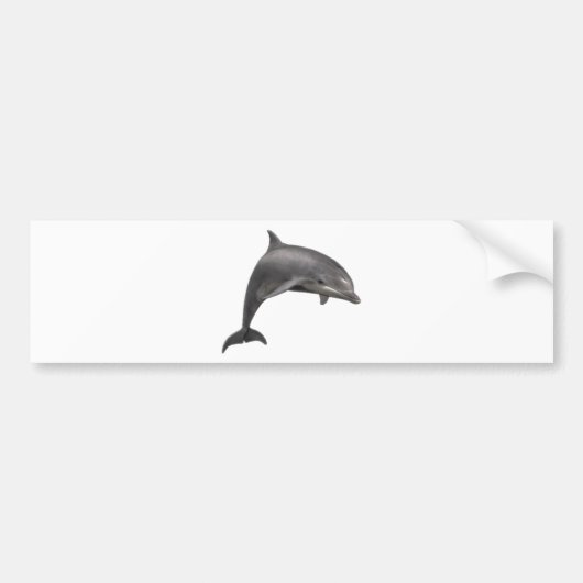 DER DELPHIN-SPRUNG AUTOAUFKLEBER (Vorne)