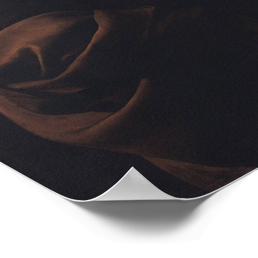 Der Demokrat oder der Mann mit einem Globus Poster (Ecke)