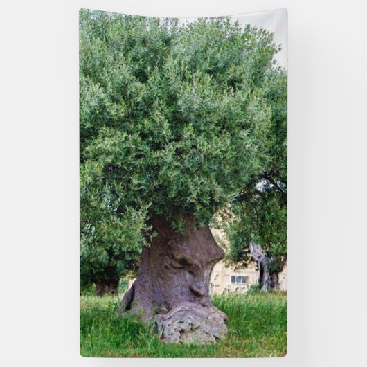 Der Denkbaum in Pugia Banner (Vertikal)