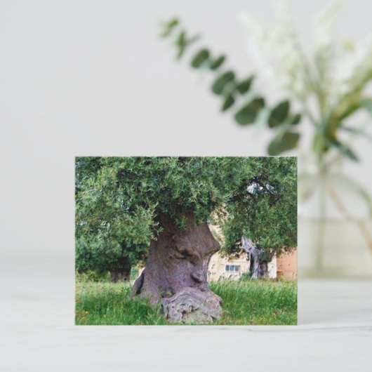 Der Denkbaum in Pugia Postkarte (Stehend Vorderseite)