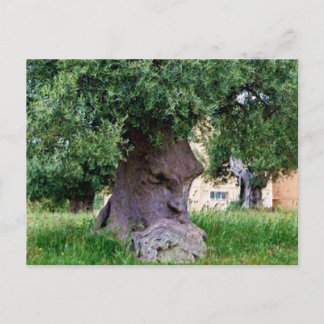 Der Denkbaum in Pugia Postkarte