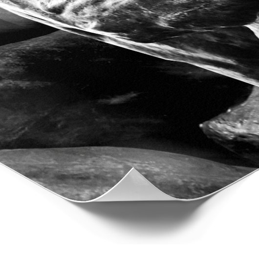 Der Denker Poster (Ecke)