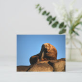 Der Denker Postkarte (Stehend Vorderseite)