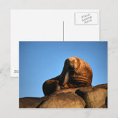 Der Denker Postkarte (Vorne/Hinten)