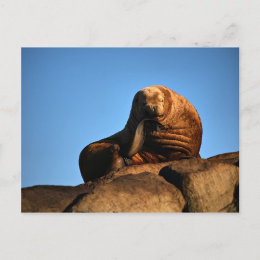 Der Denker Postkarte (Vorderseite)