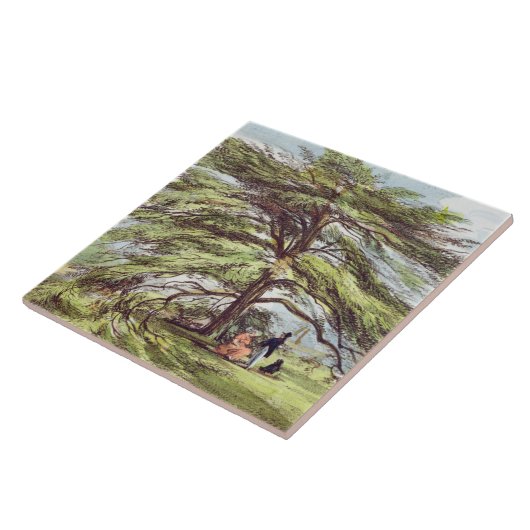 Der der Libanon-Zedern-Baum im Arboretum, Kew Fliese (Seite)