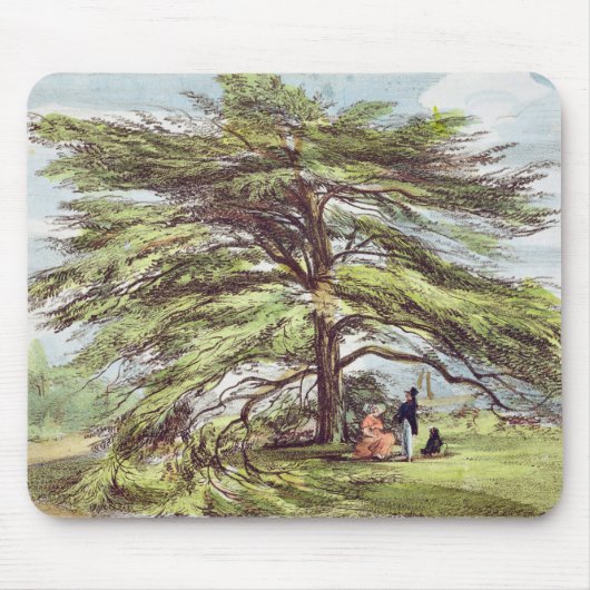 Der der Libanon-Zedern-Baum im Arboretum, Kew Mousepad (Vorne)