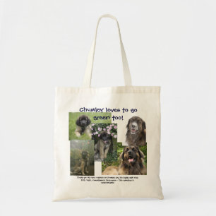 Der Des Chumleys Kampf gegen FCE Tasche