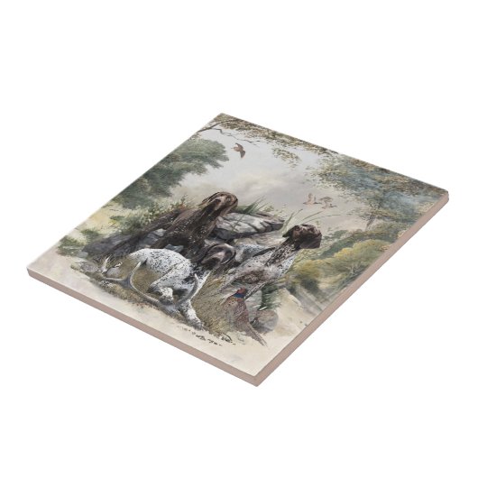 Der deutsche Kurzhaar oder Deutsch Kurzhaar Fliese (Seite)