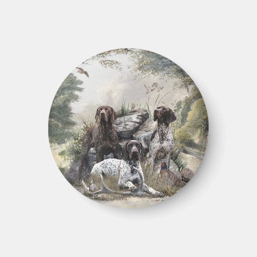 Der deutsche Kurzhaar oder Deutsch Kurzhaar Magnet (Vorne)