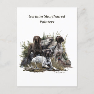 Der deutsche Kurzhaar oder Deutsch Kurzhaar Postkarte
