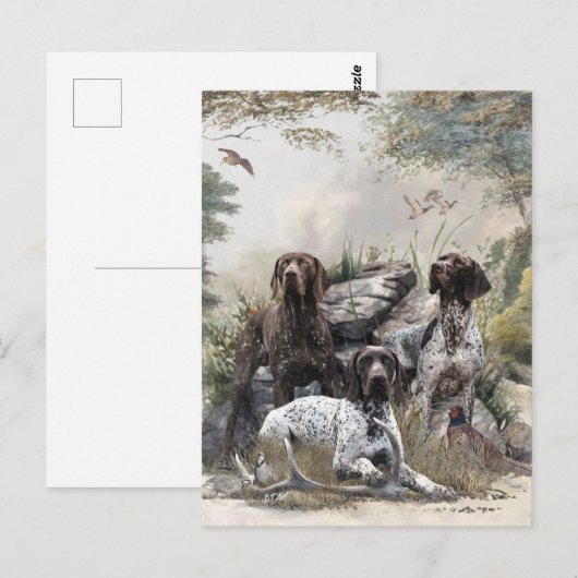 Der deutsche Kurzhaar oder Deutsch Kurzhaar Postkarte (Vorne/Hinten)