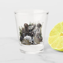 Der deutsche Kurzhaar oder Deutsch Kurzhaar