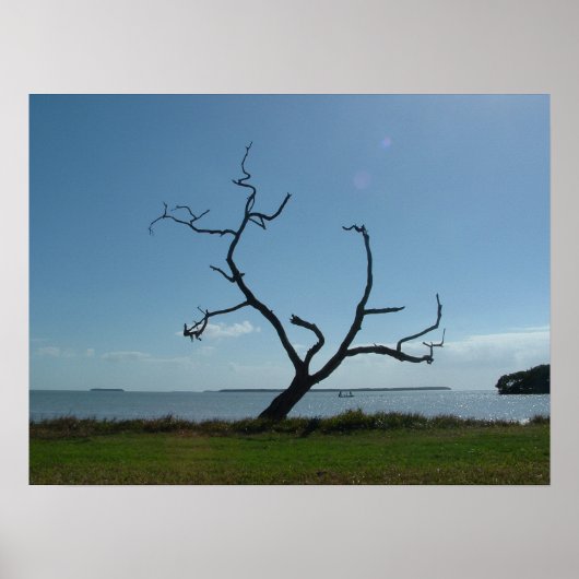 Der Dichterbaum Poster (Vorne)