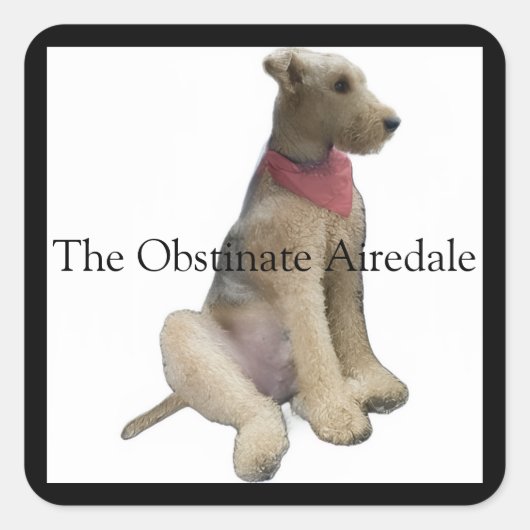 Der Dickköpfige Airedale-Aufkleber Quadratischer Aufkleber (Vorderseite)