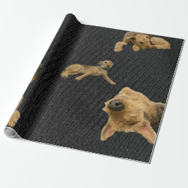 Der Dickköpfige Airedale-Wrapapier Geschenkpapier