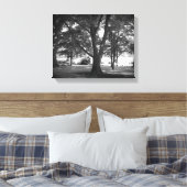 Der Dillard-Baum Leinwanddruck (Insitu (Schlafzimmer))