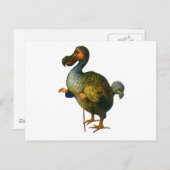 Der Dodo Bird Postkarte (Vorne/Hinten)