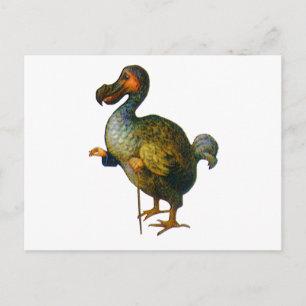 Der Dodo Bird Postkarte