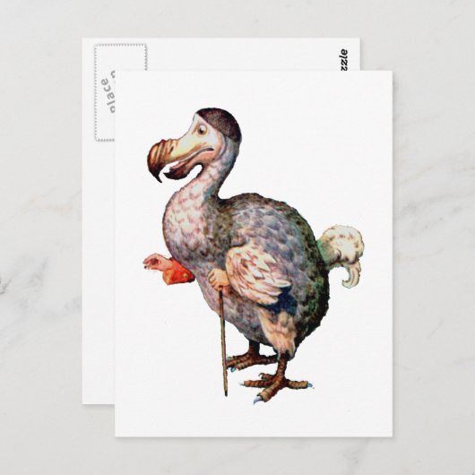 Der Dodo Bird Postkarte (Vorne/Hinten)