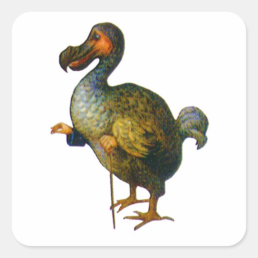 Der Dodo Bird Quadratischer Aufkleber (Vorderseite)