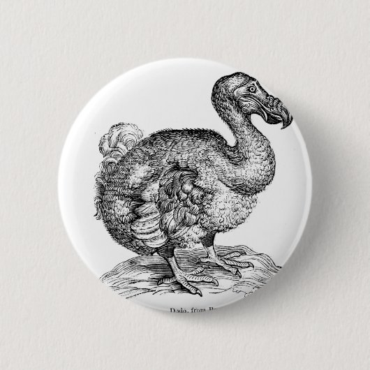 Der Dodo Button (Vorderseite)
