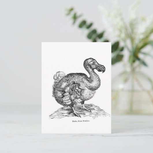 Der Dodo Postkarte (Stehend Vorderseite)