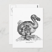 Der Dodo Postkarte (Vorne/Hinten)