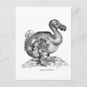 Der Dodo Postkarte (Vorderseite)