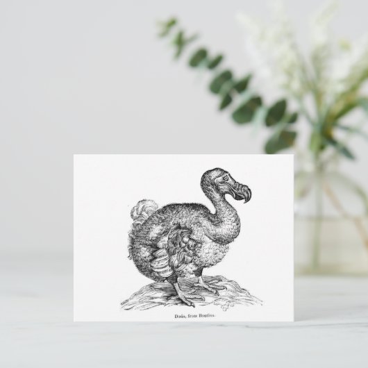Der Dodo Postkarte (Stehend Vorderseite)