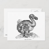Der Dodo Postkarte (Vorne/Hinten)