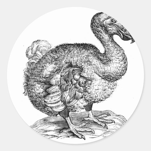 Der Dodo Runder Aufkleber (Vorderseite)