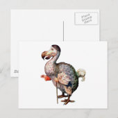 Der Dodo-Vogel Postkarte (Vorne/Hinten)