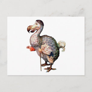Der Dodo-Vogel Postkarte