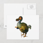Der Dodo-Vogel Postkarte (Vorne/Hinten)