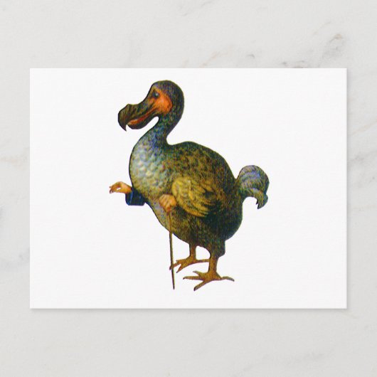 Der Dodo-Vogel Postkarte (Vorderseite)