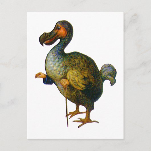 Der Dodo-Vogel Postkarte (Vorderseite)