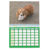 Der DogWood-Kalender 2007 Kalender (Mär 2027)