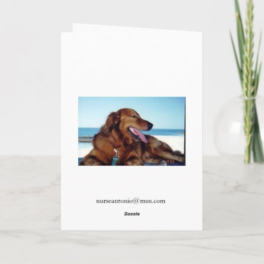 Der Doktor ist da... Karte (Rückseite)