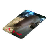 Der Donald Magnet (Linke Seite)