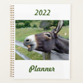 Der Donkey in einer Weide, individuell anpassbar Planer (Vorderseite)