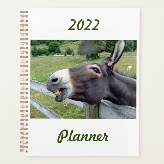 Der Donkey in einer Weide, individuell anpassbar Planer (Vorderseite)