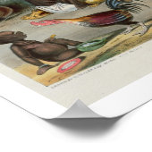 Der Dorfbarber, Teller 6 von 'Amerikanischen Urein Poster (Ecke)